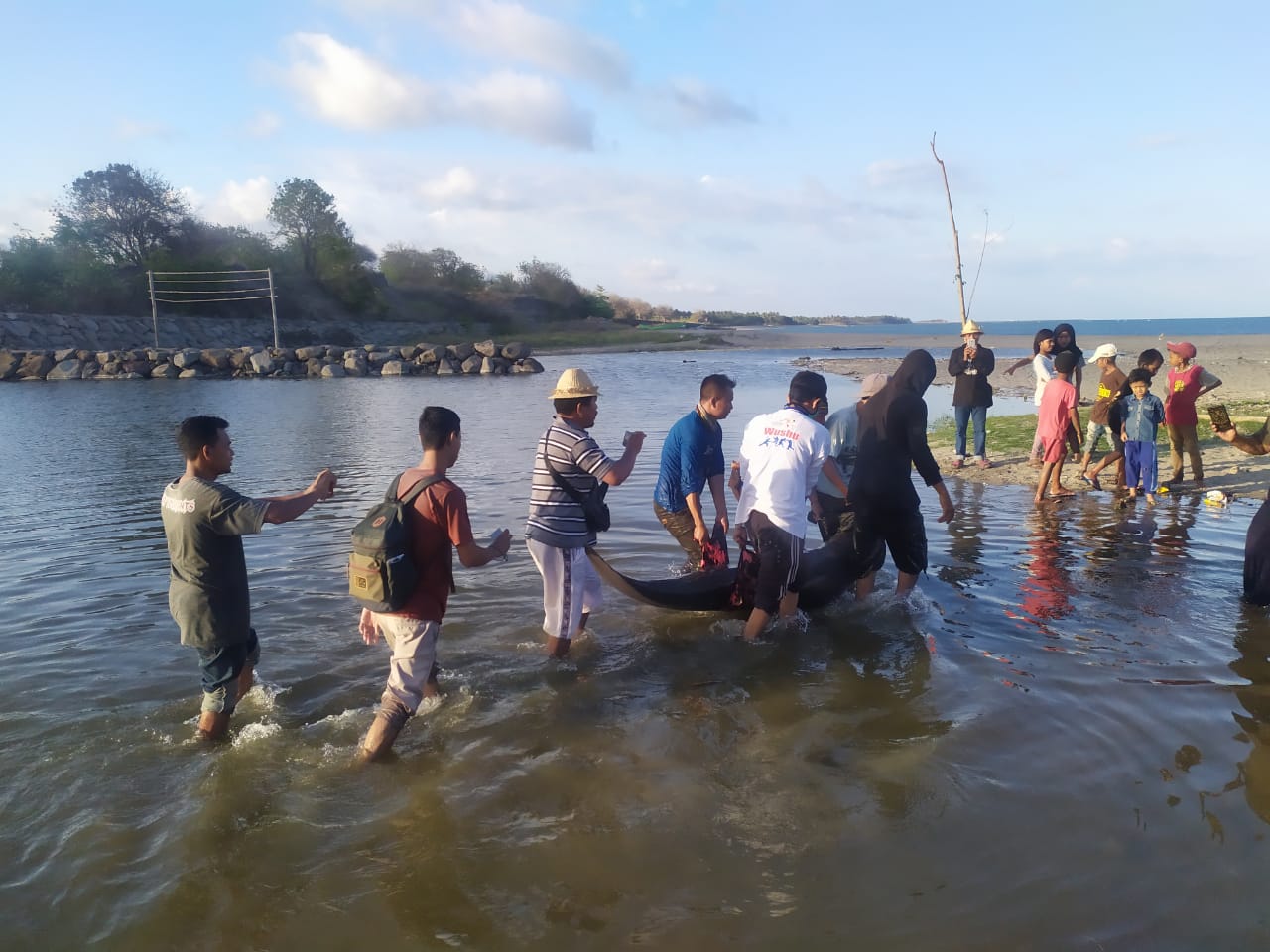 Warga Temukan Lumba-lumba Terdampar di Pantai Rambang